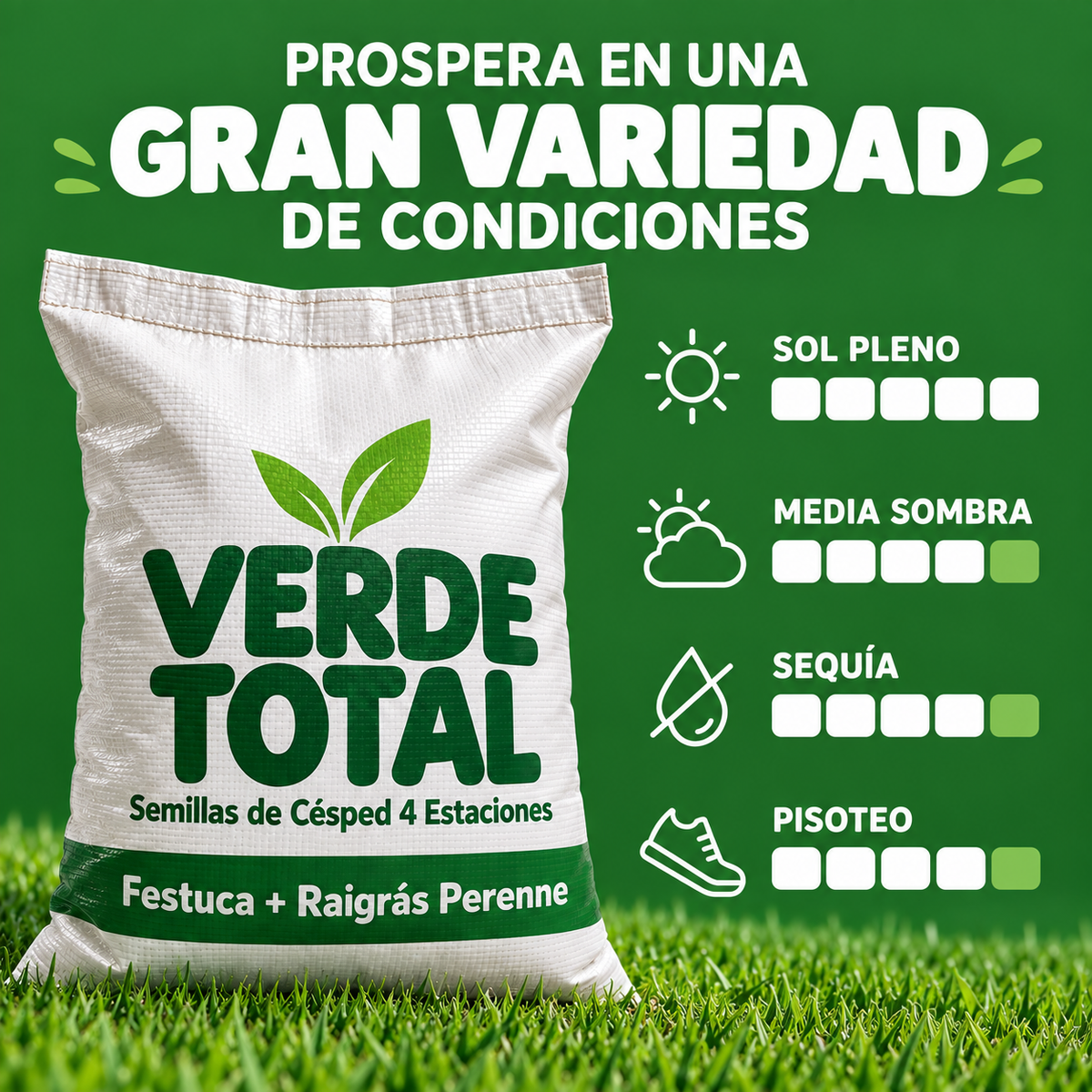 VERDE TOTAL – Semillas de Césped 4 Estaciones